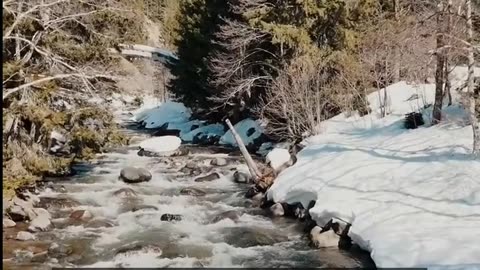 Daily Horoscope | Cancer 🌟