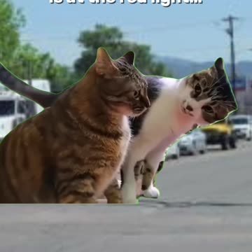 What do you do if a homeless person is at the stoplight?