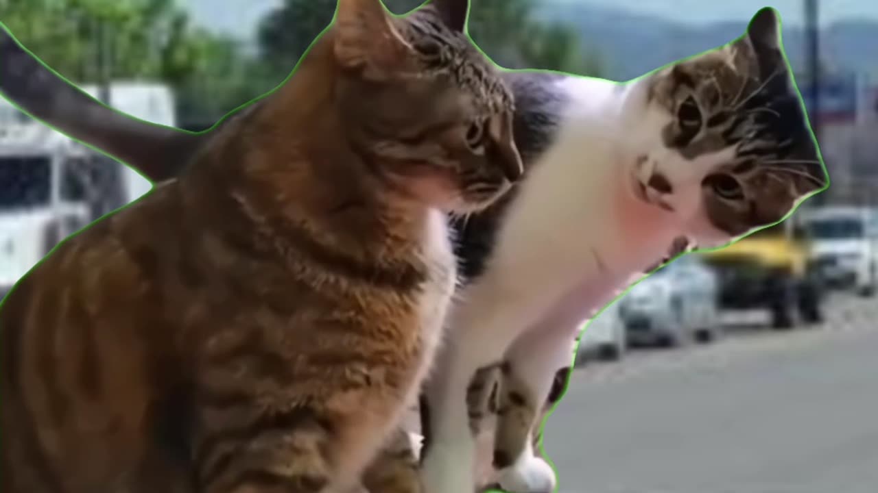 What do you do if a homeless person is at the stoplight?