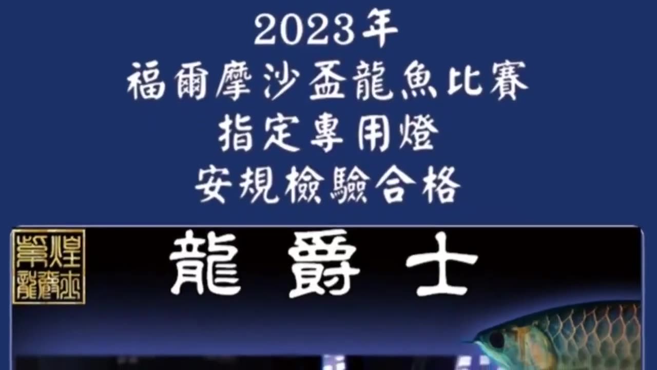 【龍爵士】第三代 龍魚專用燈 通用燈 福爾摩沙盃龍魚比賽指定專用 安規檢驗合格