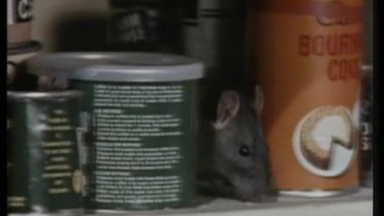 DOOMWATCH S1E04 TOMORROW THE RAT (VHS)