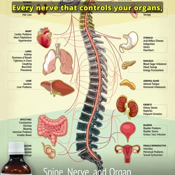 Easy Tips to Improve Chiropractic Health Naturally