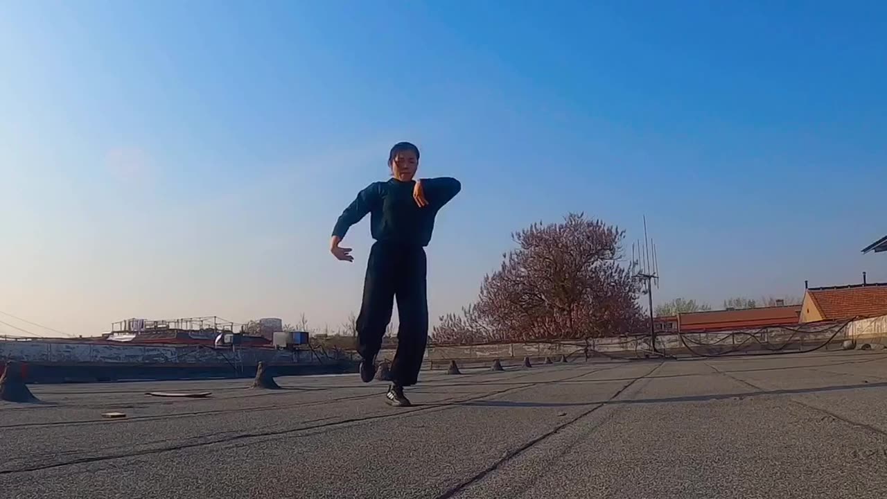 0001.遊龍出腿