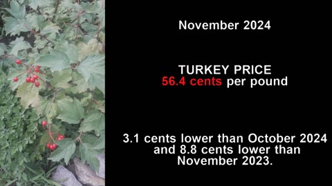 In the US, broiler price, at 73.4 cents per pound, turkey price at 56.4 cents per pound