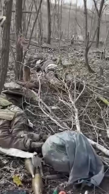 Ukraine war combat/related footage 12/30/25