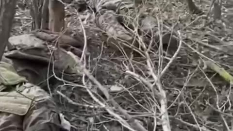 Ukraine war combat/related footage 12/30/25