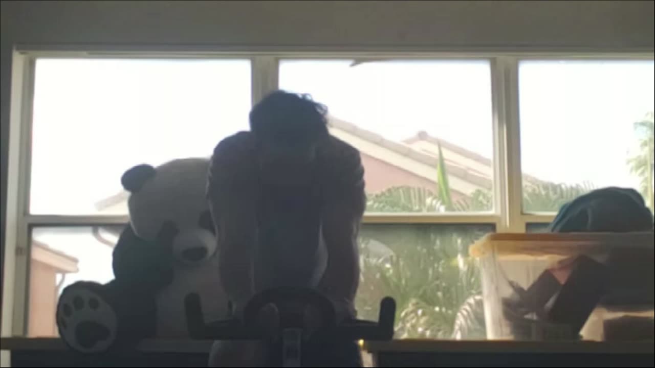 Panda entertainment 🐼