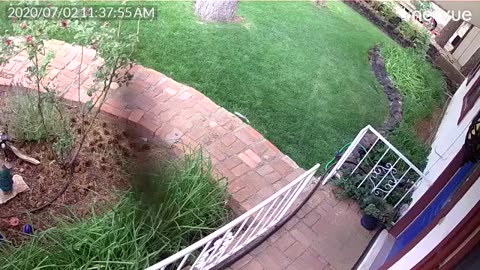 😨👿 Bug or Demon? What Did This Camera Capture? | TheHauntingHour