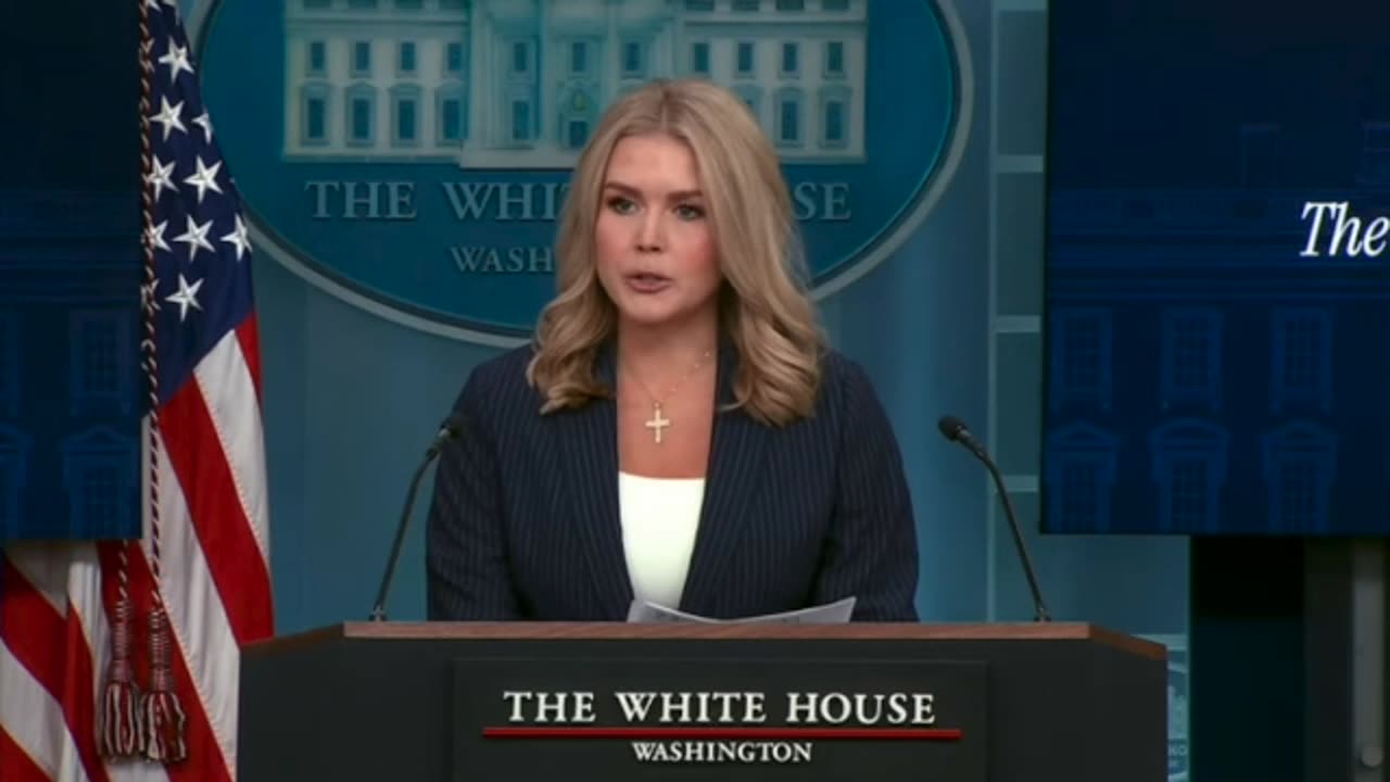 White House Press Briefing : Karoline Leavitt Reports on Alleged Constitutional Crisis