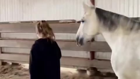 It's amazing that horses are so intelligent