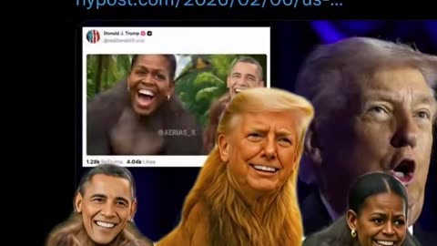 King of the Jungle Trolling Gorillas🤣🦁