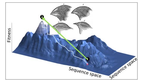 The Surprising Relevance of Engineering in Biology