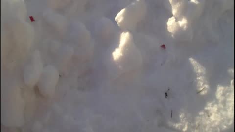 4 waterproof firecrackers in the snow winter 2016