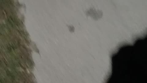 Shadow looks like Darth Vader