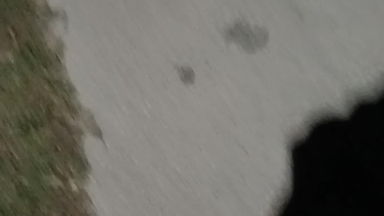 Shadow looks like Darth Vader