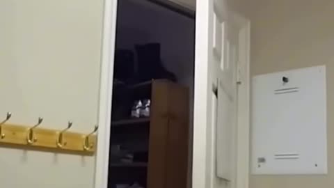 Big Fails 😂😂🤣