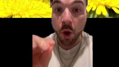 The Magical Healing Powers of BEES and Their Sacred Frequencies 🐝