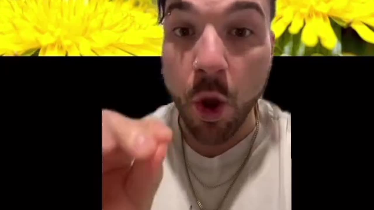 The Magical Healing Powers of BEES and Their Sacred Frequencies 🐝