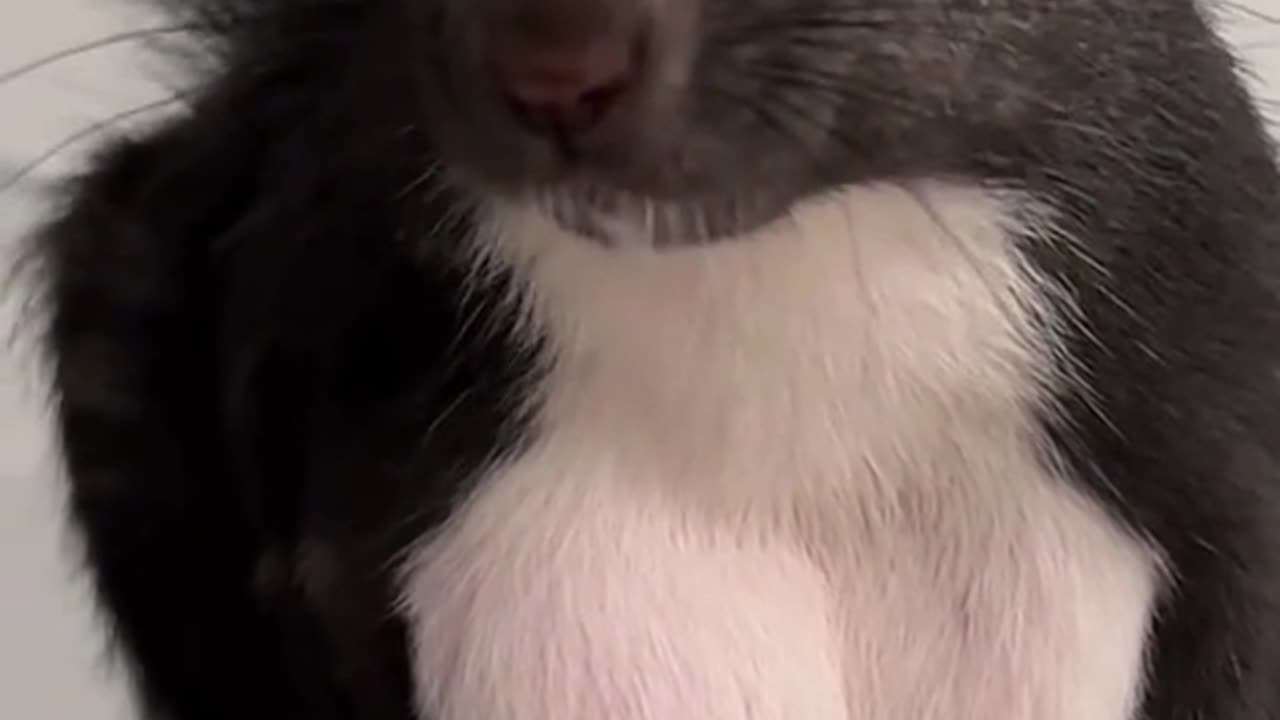 What a beautiful squirrel