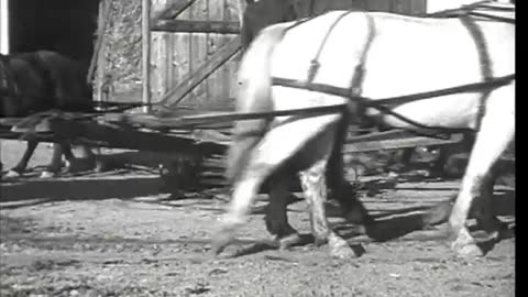 [HORSE DRIVEN GRAIN SEPARATOR IN OPERA... - [HORSE DRIVEN GRAIN SEPARATOR IN OPERATION] - fc-fc-2209