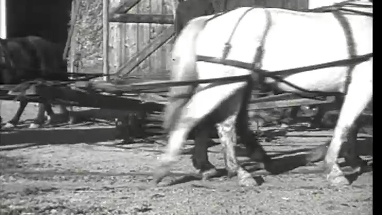 [HORSE DRIVEN GRAIN SEPARATOR IN OPERA... - [HORSE DRIVEN GRAIN SEPARATOR IN OPERATION] - fc-fc-2209