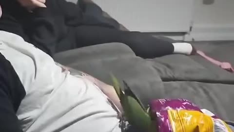 @Funny Bird Feeder. 🆗😂