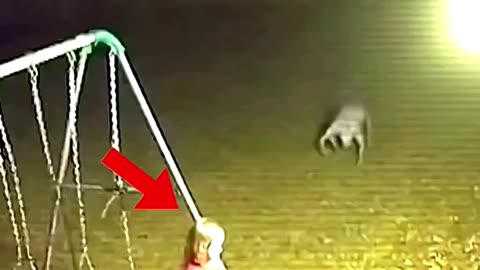 “She Had No Idea- It Was Watching” 😱🕷️ #horrorjunkie #scary