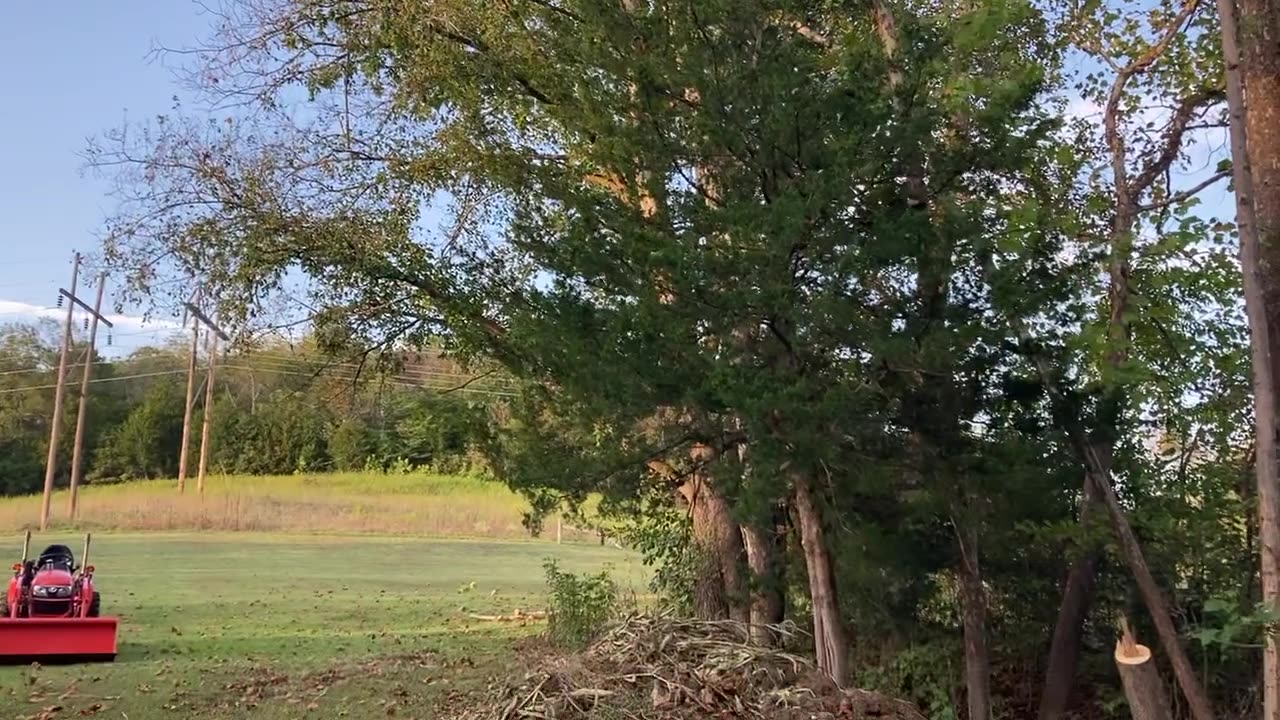 The Barn Saga Begins