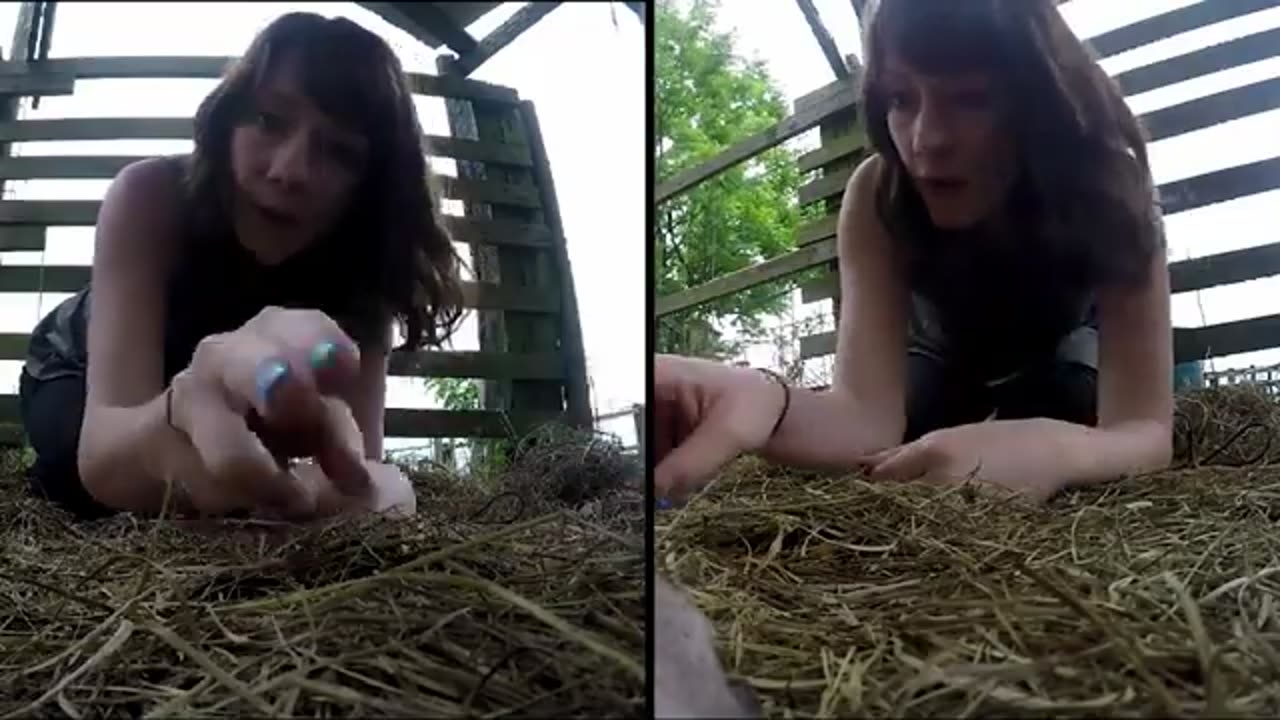 American Farmer Was Digging In A Field When He Found This