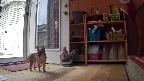 A Teddy Bear On The Porch!