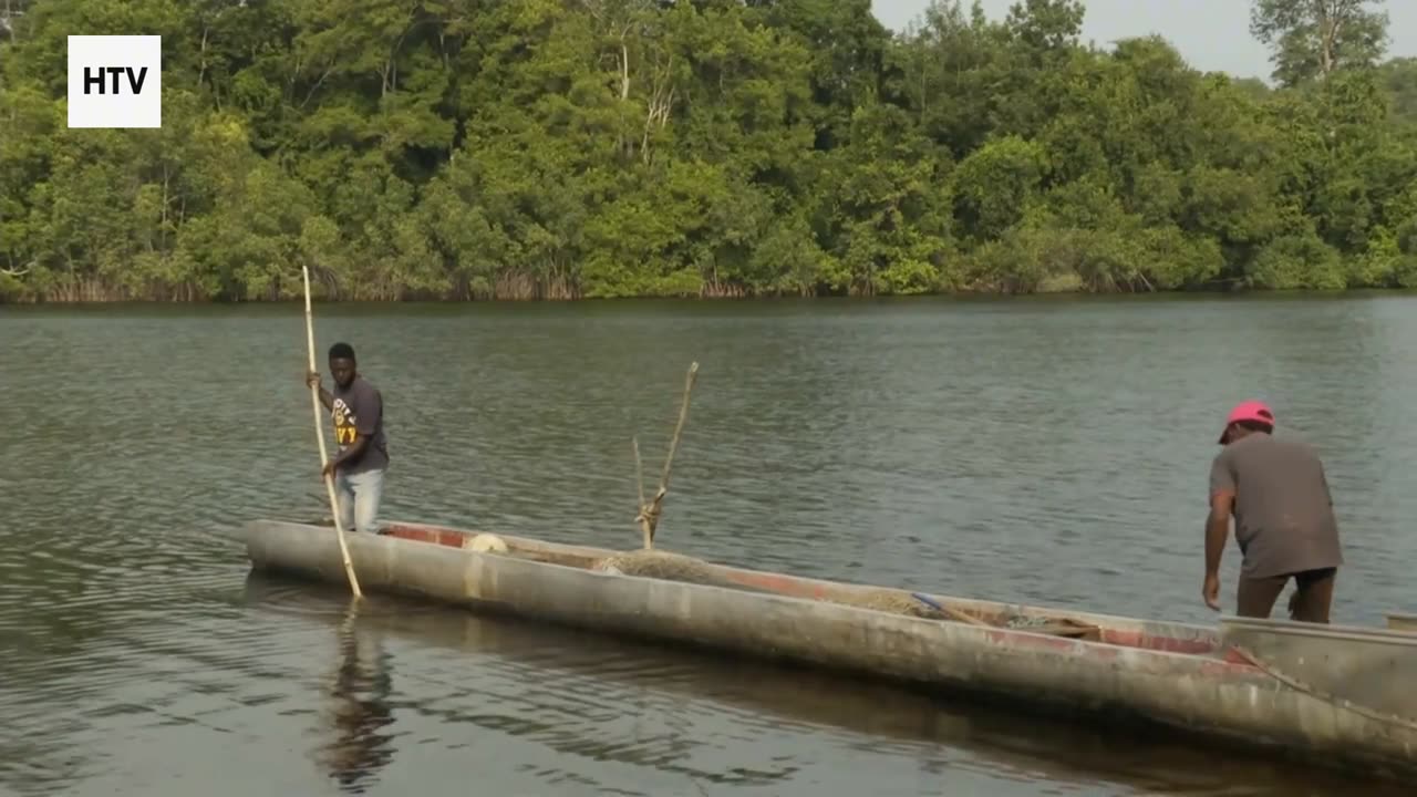 Elephant & African Wildlife #3 – Majestic Giants of Gabon