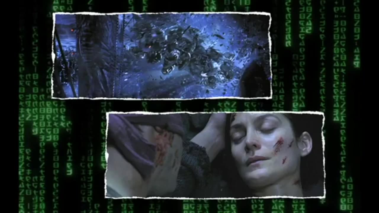 MATRIX DECODED con MARK PASSIO