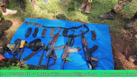 Gabaasa Tarkaanfii ONM-ABO Sadaasa 13-2025 itti dhiyaadhaa!