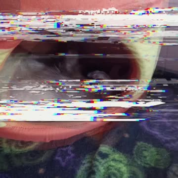 Happy Halloween 🎃👻