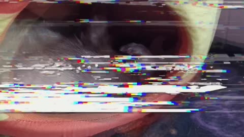 Happy Halloween 🎃👻