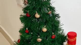 Wall tree idea for tiny spaces 🌲