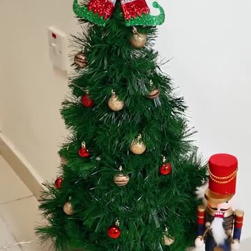 Wall tree idea for tiny spaces 🌲