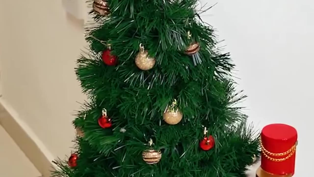 Wall tree idea for tiny spaces 🌲