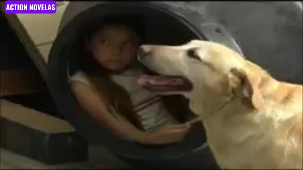 Juro que te amo Capitulo 31