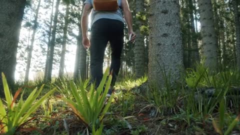 "Knowledge is power." #Learning #Education #Battery