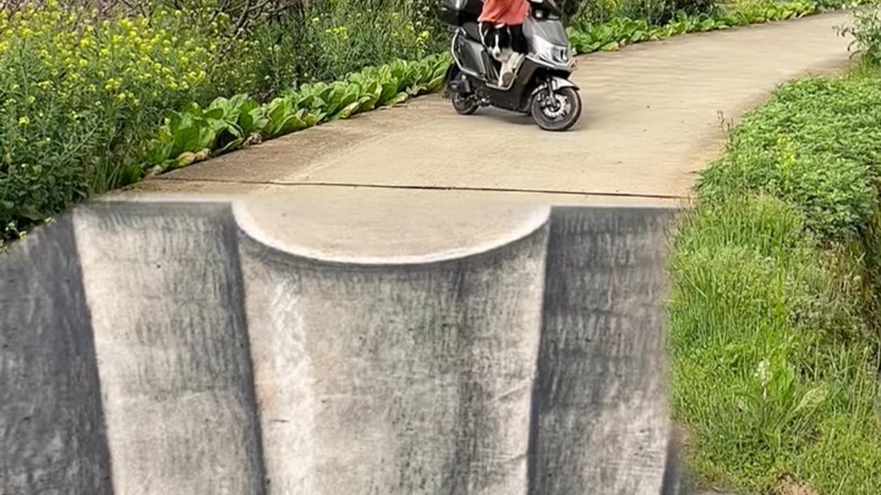 👍💯 Mind Blown by This Hack! | LifeHacksDaily