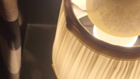 A Day in the Life of a Prepper