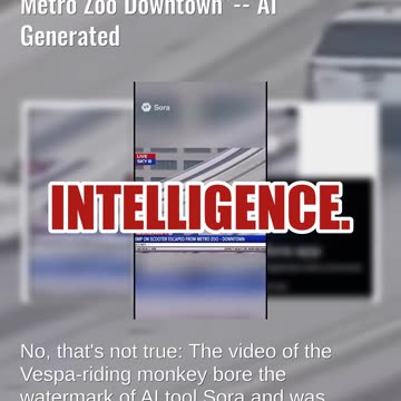 Fact Check: Chimp On Scooter Video Is NOT Real, Did NOT 'Escape From Metro Zoo Downtown' -- AI