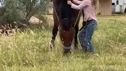 Woe Day 126. I am in the ark. Waiting for GOD to open the Door for a spring/summer Pentecost rapture