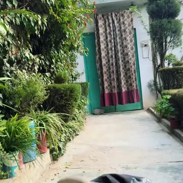 #babylover #funny #viral