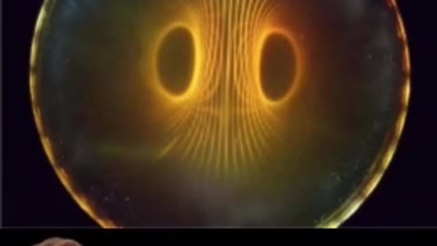 THE TORUS FIELD: Our Electromagnetic Field