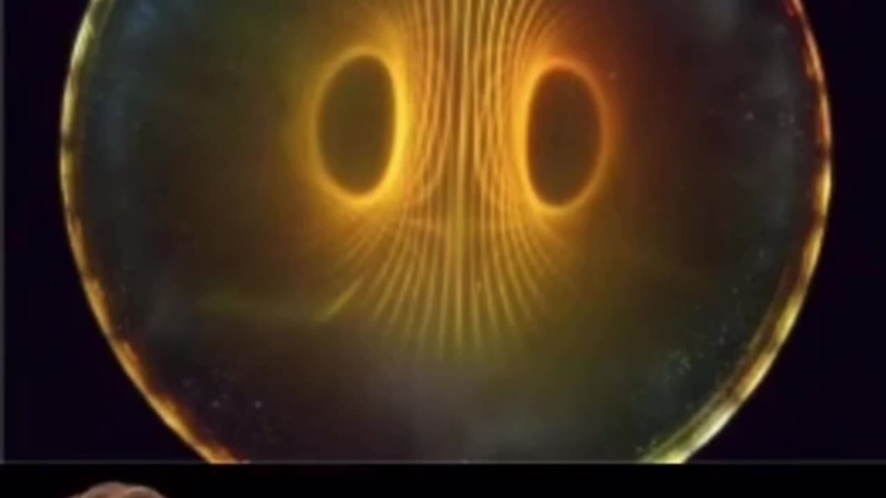 THE TORUS FIELD: Our Electromagnetic Field