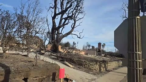 Horrific Footage Of The Aftermath Of The Pacific Palisades Fire