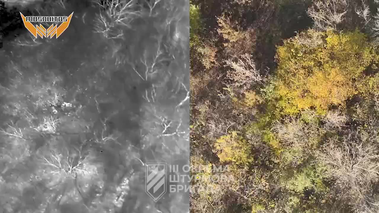 Thermal Imaging Drones Spot Russians Hiding in the Treelines