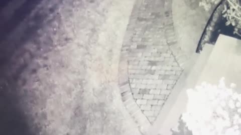 😨👻 What is This Entity That My Step Dad Caught on Our Security Camera? | TheHauntingHour